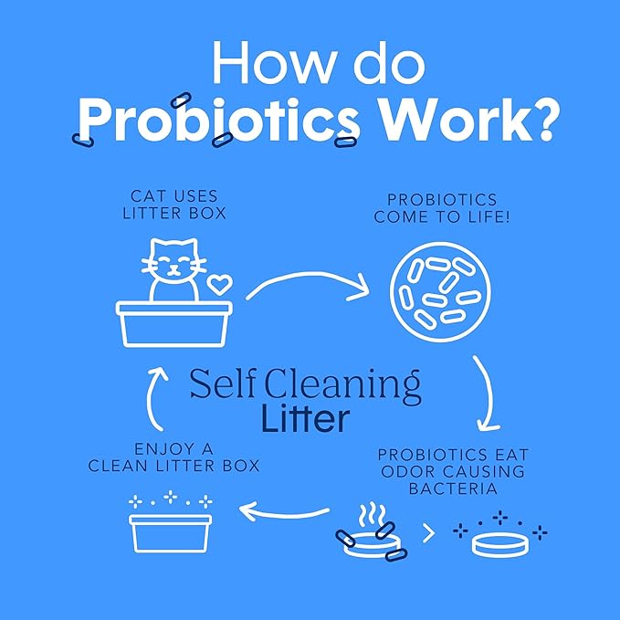 Boxie Probiotic Cat Litter, 40 Day Odor Control, Clumping Clay Kitty Litter, Odor Eliminating Probiotics, Dust-Free, No Fragrances No Fillers, 16 lb