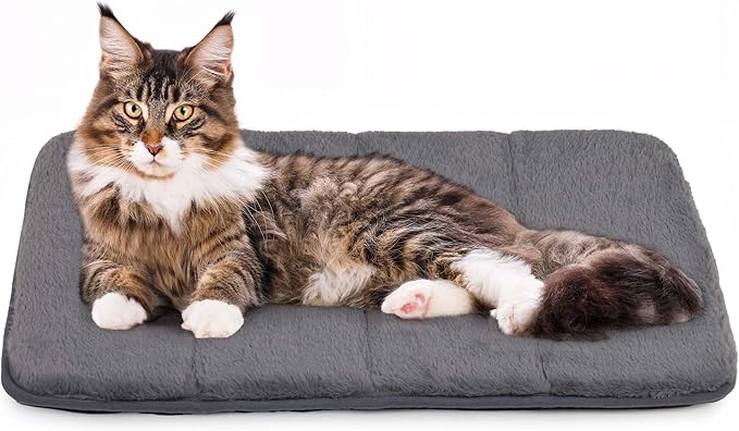 Dog Crate Pad for Small Dogs - 24x18 Orthopedic Dog Bed with Memory Foam, Washable Water-Resistant Soft Pet Mat with Non-Slip Bottom, Grey