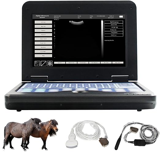 CONTEC USA Veterinary Laptop Machine Ultrasound Scanner Newest Horse/Equine/Cow/Sheep use (Convex & Rectal Linear Probe)