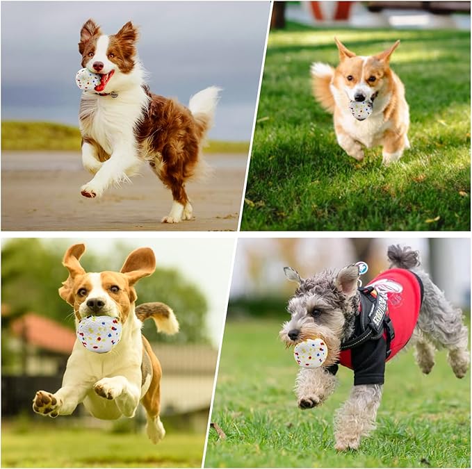 Automatic Dog Ball Launcher with 6 ETPU Balls, Adjustable Distance 20-45ft, USB Rechargeable, Interactive Pet Toy (Blue)