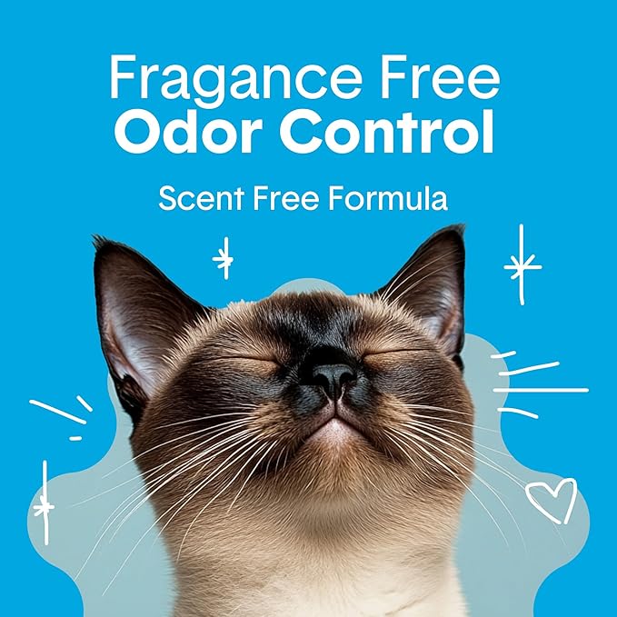 Boxie Unscented 30 Day Odor Control Clumping Clay Cat & Kitty Litter 28 lb, 99.9% Dust-Free, Hard Flat Top Clumps, No Fragrances No Fillers, Long-Lasting, Easy to Scoop