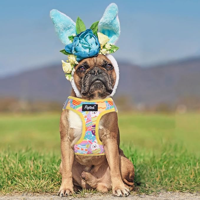 PUPTECK Dog Harness and Leash Set for Small Medium Dogs No Pull Step-in Soft Mesh Puppy Cat Vest Harnesses Reflective at Night, Easter Light Yellow, S