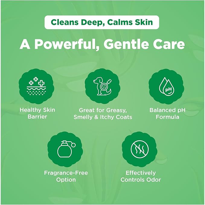 Dermafoam 16.9oz Chlorhexidine Shampoo for Allergies, Itching, Skin and Coat Supplement, Helps Shedding, Hot Spots, Paw Irritation, Rashes Deodorizing and Cleansing Dog Shampoo & Grooming Supplies