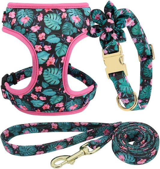 Beirui Cute Girl Dog Collars, Harnesses & Leashes Set - Adjustable Dog Collar and Leash Set with Flower - Soft Mesh Dog Vest Harness for Puppies Small Medium Dogs (Green,M)