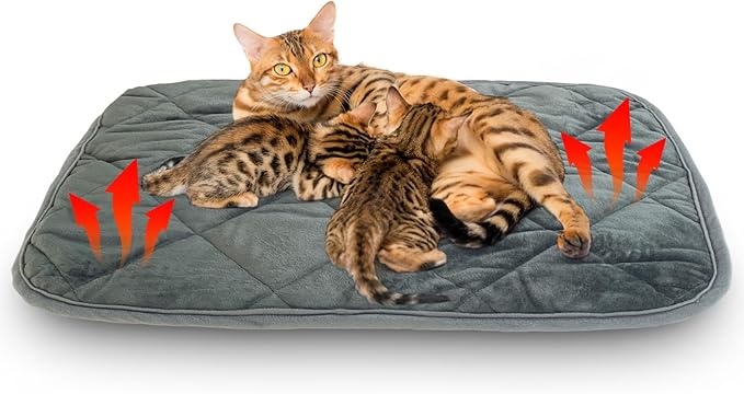 Self-Warming Cat Bed Indoor/Outdoor Super Soft Self Heating Pet Mat Washable Thermal Pad for Cat & Dog 35x23 inch