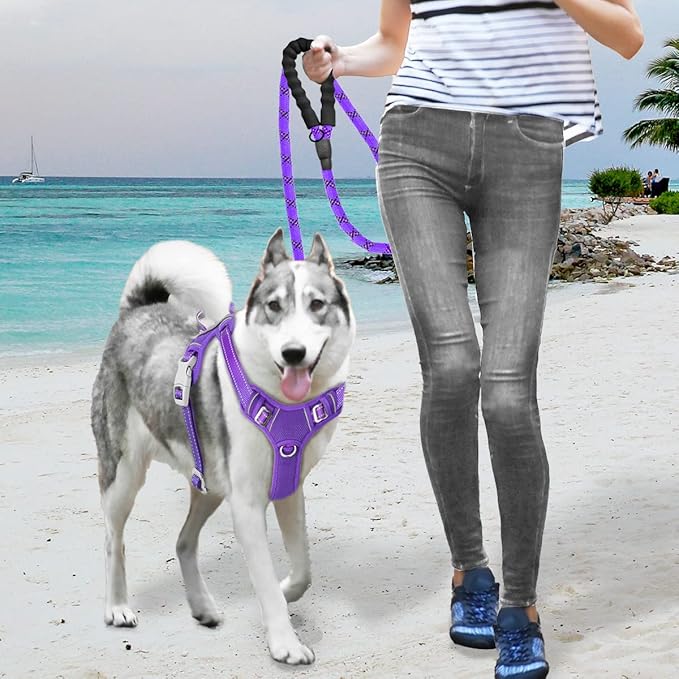 BARKBAY No Pull Dog Harness Large Reflective Dog Harness with Front Clip and Easy Control Handle for Walking Training Running with ID tag Pocket(Purple,M)