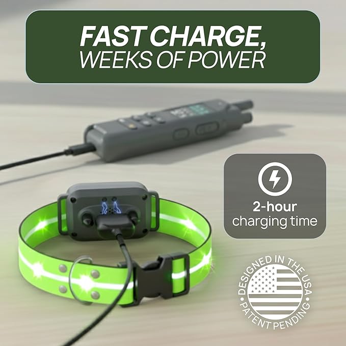 2-in-1 Dog Shock Collar with Remote & 360° LED Safety Lights – 4200FT Range Dog Training Collar, IPX8 Waterproof, 4 Training Modes, Rechargeable E-Collar for Small Medium & Large Dogs (10-120lbs)