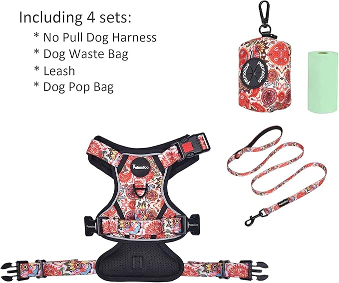 Petmolico No Pull Dog Harness Set with Leash Attachment Easy Control Handle Reflective Harness Vest Small Breed, Puppy Vest and Leash Set with Poop Bag Holder, XS - Boho Floral