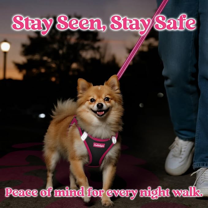 rabbitgoo Dog Harness Small Sized and Leash Set, Step-in Breathable Pet Harness, Soft Walking Reflective Puppy Vest for Small Dogs, Black & Rose Red, M