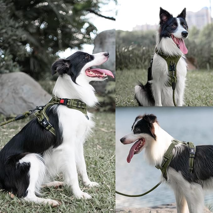 PoyPet No Pull Dog Harness and 5 Feet Leash Set, Release on Neck Reflective Adjustable Pet Vest, Front & Back 2 D-Ring and Soft Padded Pet Harness with Handle for Small to Large Dogs(Military Green,L)