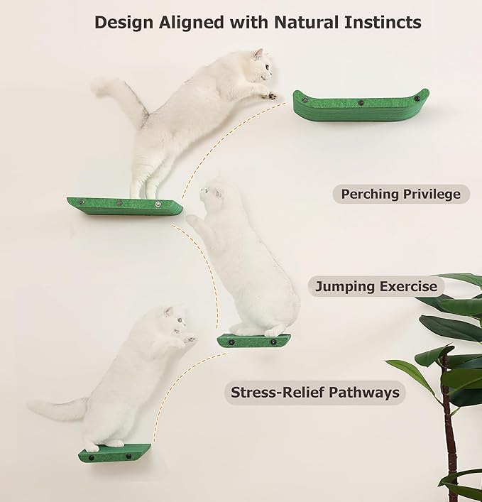 Cat Wall Shelves for Inside,Sound Proof PET Felt Cat Furniture Set,Scratch Resistant Wall Mouted Perch for Kitty Climbing, Sleeping and Lounging (Set of 4-Green)