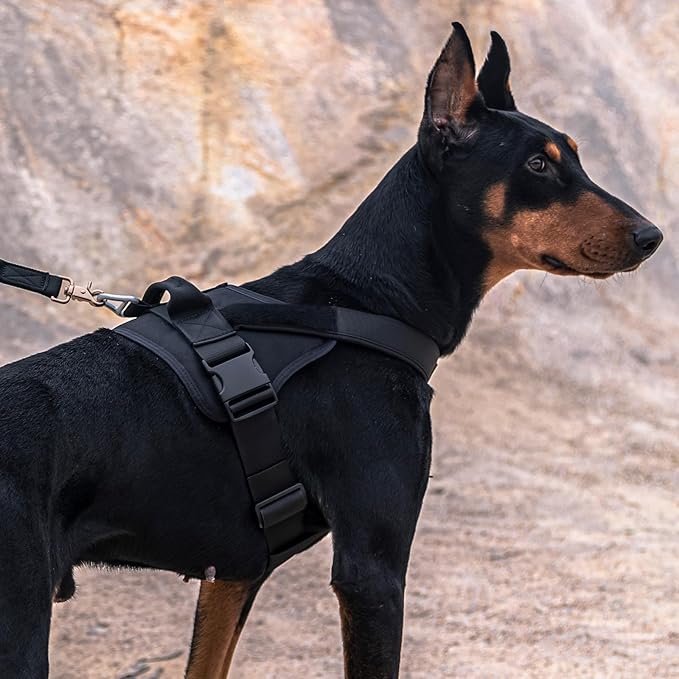 EXCELLENT ELITE SPANKER Tactical Dog Harness Military Patrol Harness No-Pull Service Dog Vest Military Dog Vest Adjustable Training Working Dog Vest with Handle for Medium Large Dogs(MCP-XS)