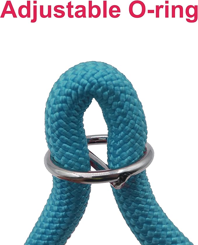 Braided Round Martingale Dog Collar, Training Collar with Slidable Stop Ring - Ideal for Medium/Large Dogs (M+(1/2") - 18" Long, Light Blue)