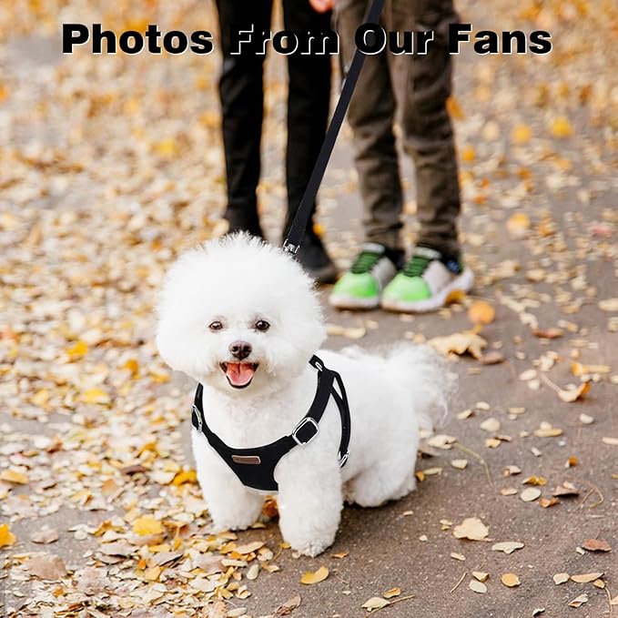 Dog Harness and Leash Set, XXS No Pull Adjustable Puppy Harness with Multifunction Pink Dog Leash and Dog Collar, Soft No Choke Escape Proof Pet Harness Vest for Small Dogs and Cats (Black, S)