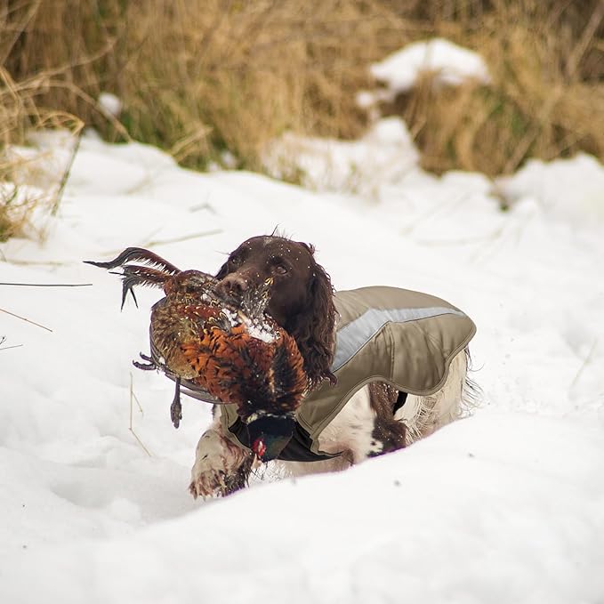 BASSDASH Dog Insulated Coat Safety Vest Water Resistant Chest Protection Reflective High Visibility for Hunting Outdoor