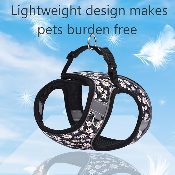 Small Dog Harness and Leash Set, Step in Dog Harness No Pull for Walking Running Training, Puppy Essentials for Dogs Cat Bunny, Adjustable Reflective Dog Vest Harness. (Black, M)