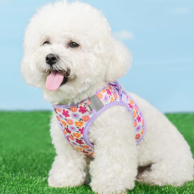 Small Dog Harness and Leash Set, Step in Dog Harness No Pull for Walking Running Training, Puppy Essentials for Dogs Cat Bunny, Adjustable Reflective Dog Vest Harness. (Purple, M)