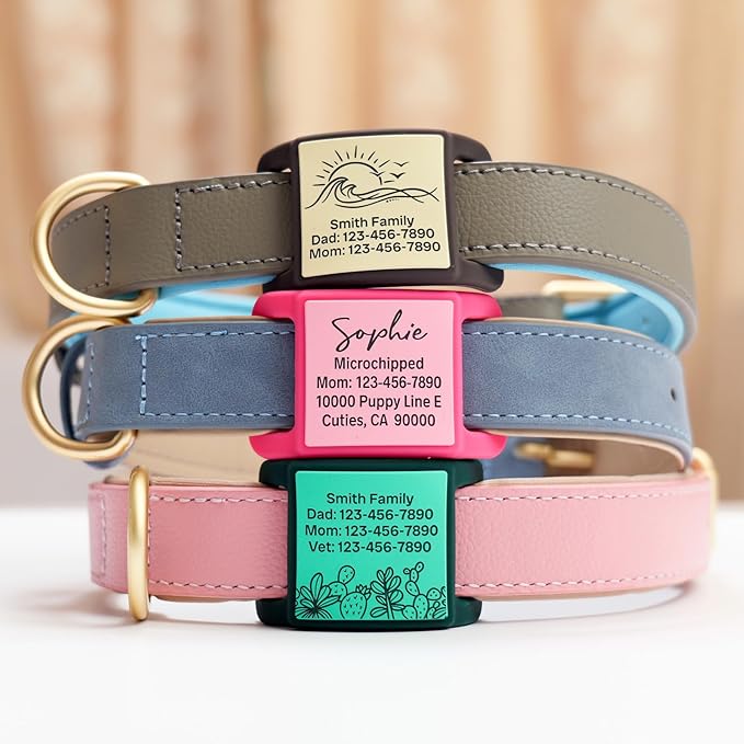 Silent Dog Tag, Personalized Engraved Tracker Case for Pet Collar, Quiet Slide On Tags for Collars