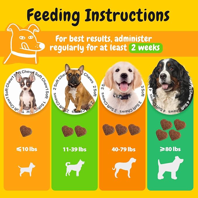 PENPEN Probiotics for Dogs, Dogs Probiotics for Digestive Health, Multi-Probiotic and Enzyme Blend Promote Gut Health & Immune Support, Eases Sensitive Stomachs - Beef Flavor, 180 Soft Chews