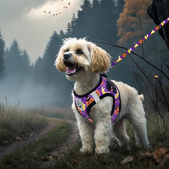 EXPAWLORER Halloween Puppy Harness - Dog Collar and Leash - Soft Mesh Padded Adjustable Step in Small Dog Vest Harness No Pull, Reflective Escape Proof for Outdoor Walking, Purple S