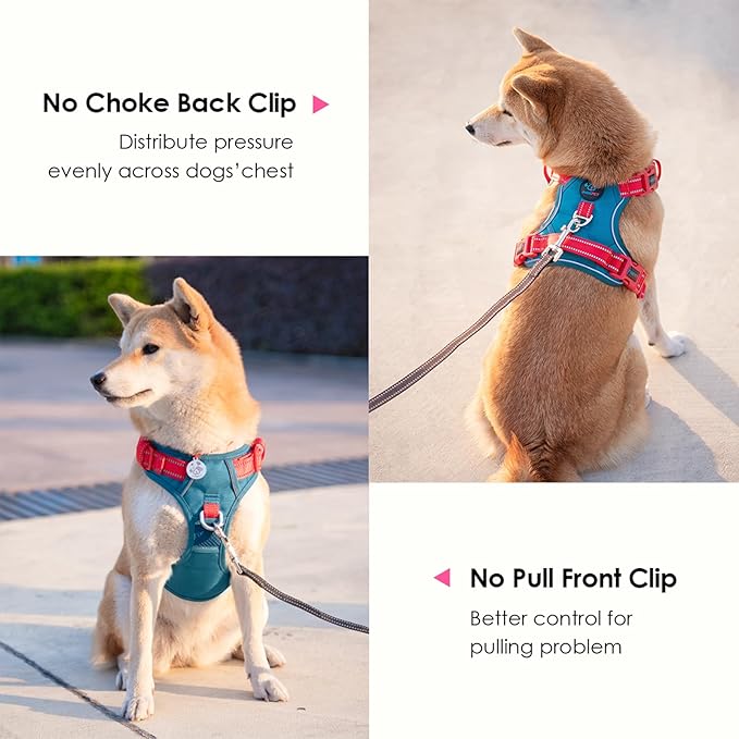 PHOEPET No Pull Dog Harness, Unique Colors Reflective Adjustable Dog Vest, with Soft Training Handle Metal Clips for Small Medium Large Dogs (Teal Base & Red Straps,S)