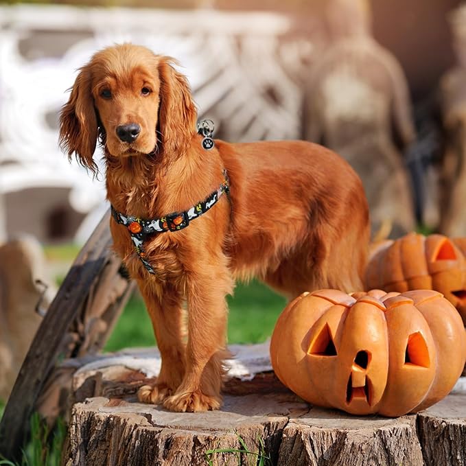 PUPTECK No Pull Dog Harness Soft Adjustable Basic Nylon Step in Puppy Vest Outdoor Walking with ID Tag, Black, M