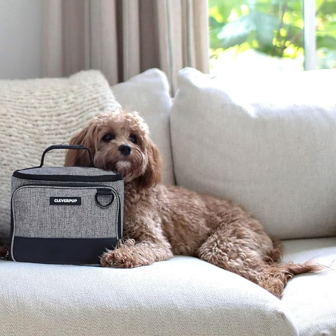 Small 7-Piece Bistro Box Dog Food Travel Kit, 6-Cup Kibble Storage, 2 Silicone Bowls, Mat & Scoop - Premium Portable Pet Food Kit for Weekends, Overnights, Daycare & Camping, Heather Grey