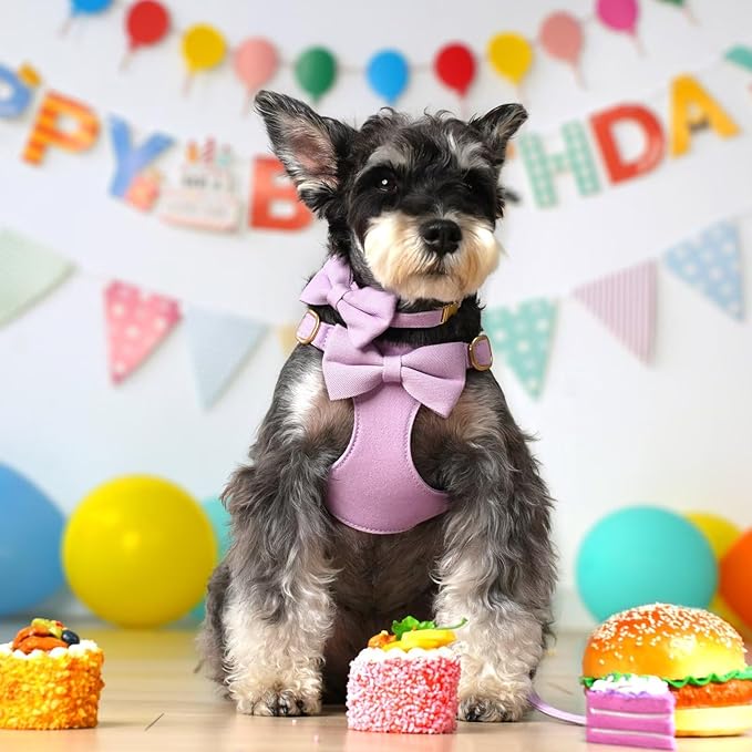 Beirui Adorable Small Dog Harness Collar Leash Set,Cute Puppy Harness with 3 Bows for XS Dogs,Yorkie,Adjustable Step-in Vest for Walking,Parties&Holiday Outfits(Purple,XS)