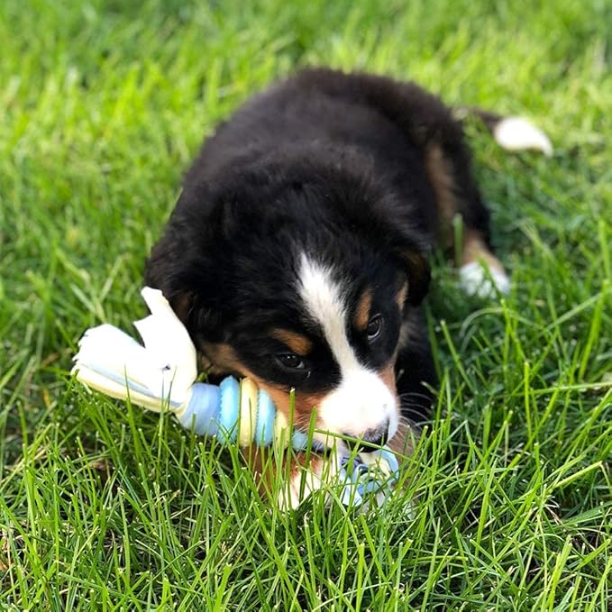 SmartPetLove Original Snuggle Puppy Essentials Starter Kit - Heartbeat Puppy for Dogs - Calming Aid with 3 Heat Packs, Puppy Teething Toy, Dog Chew Toy and Dog Blanket