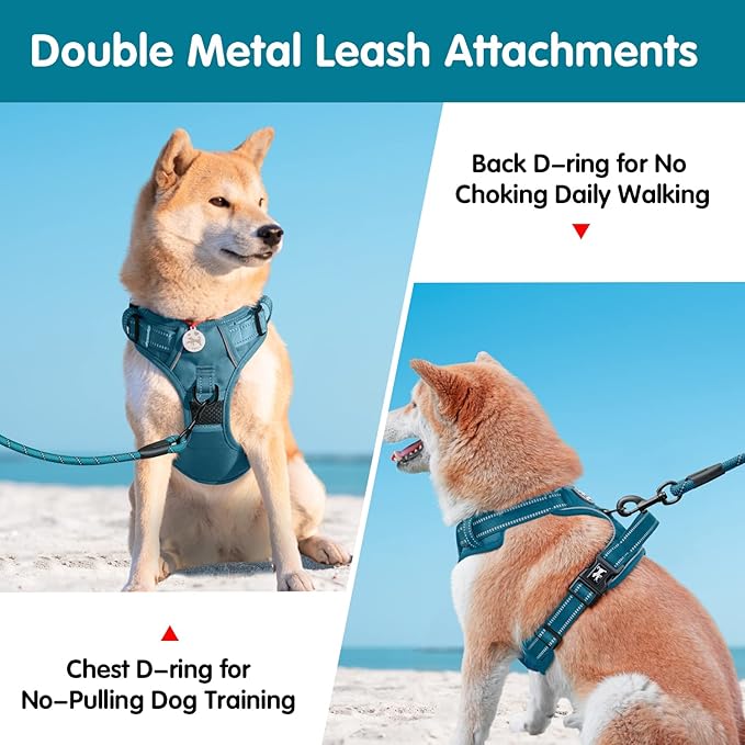 PoyPet No Pull Dog Harness and 5 Feet Leash Set, Release on Neck Reflective Adjustable Pet Vest, Front & Back 2 D-Ring and Soft Padded Pet Harness with Handle for Small to Large Dogs(Tumalo Teal,M)