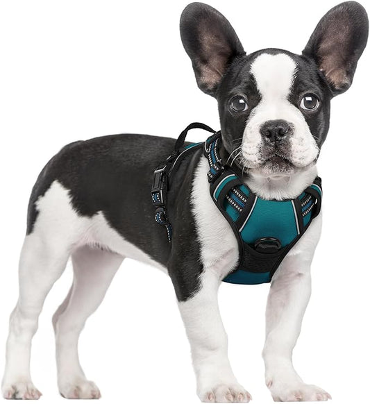 rabbitgoo Dog Harness No Pull with 2 Leash Clips, Adjustable Soft Padded, Reflective Oxford No Choke Pet Vest with Easy Control Handle for Small Dogs, Blue Coral, S