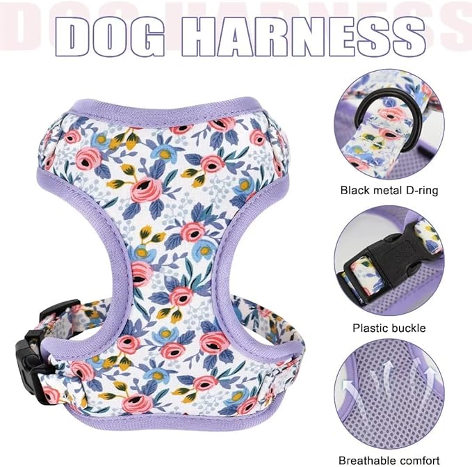 Beirui Cute Girl Dog Collars, Harnesses & Leashes Set - Adjustable Dog Collar and Leash Set with Flower - Soft Mesh Dog Vest Harness for Puppies Small & Extra Small Dogs Cats (Blue,XXS)