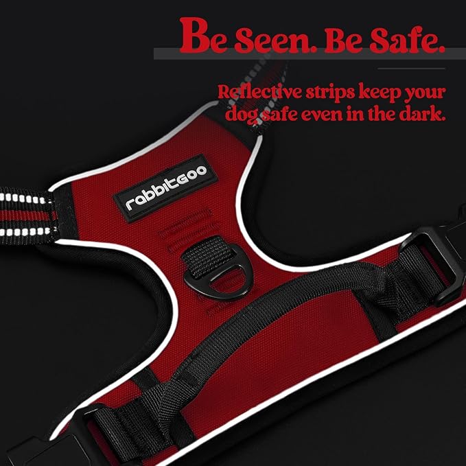 rabbitgoo Dog Harness No Pull with 2 Leash Clips, Adjustable Soft Padded, Reflective Oxford No Choke Pet Vest with Easy Control Handle for Large Dogs, Red, XL
