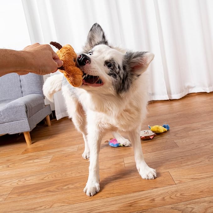 DODODOLA 4 Pcs Stuffing Dog Toys for Small Dogs Squeaky Small Dog Toys to Keep Them Busy Durable Push Puppy Toys for Chewing for Small Medium Dogs