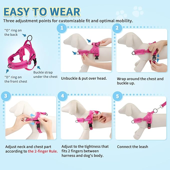 SlowTon No Pull Small Dog Harness and Leash Set, Puppy Soft Vest Harness Neck & Chest Adjustable, Reflective Lightweight Harness & Anti-Twist Pet Lead Combo for Small Medium Dogs (FU, M)