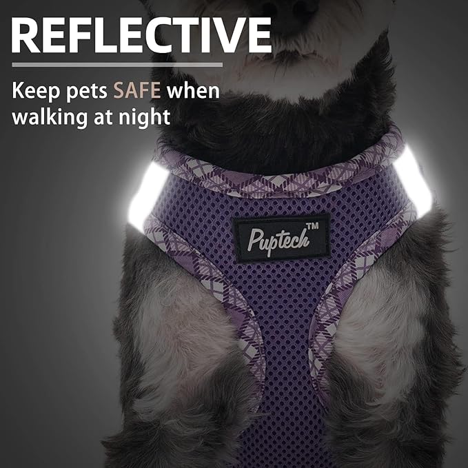 PUPTECK Dog Harness and Leash Set for Small Medium Dogs No Pull Step-in Soft Mesh Puppy Cat Vest Harnesses Reflective at Night, Purple L