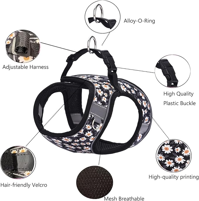 XS Dog Harness and Leash Set, Step in Dog Harness No Pull for Walking Running Training, Puppy Essentials for Dogs Cat Bunny, Adjustable Reflective Dog Vest Harness. (Black, XS)