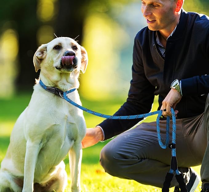 Dog Leash, 6 FT Slip Lead Dog Leashes, Durable Premium Quality Strong Training Rope Slip Leash with Comfortable Padded Handle and Highly Reflective Threads for Small Medium and Large Dogs, (Blue)