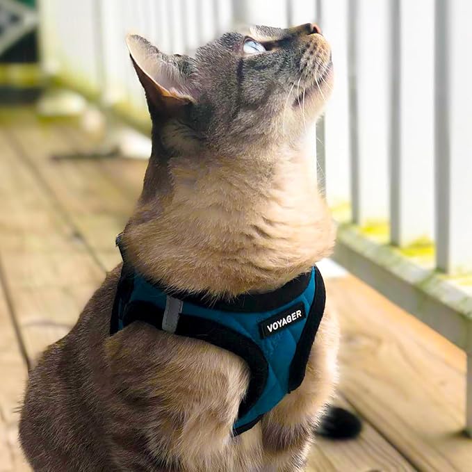 Best Pet Supplies - All Weather Mesh/Plush, Reflective, No Pull Harness for Small, Medium Dogs, Cats - Secure with Hook & Loop Fastener, Buckle, Double D-Rings - Turquoise Plush, XL