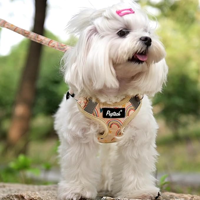 PUPTECK Dog Harness and Leash Set Small Sized, Step in No Pull Adjustable Puppy Cat Harness Reflective Pet Vest
