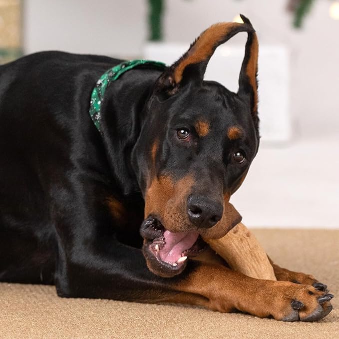 Willjoy 3-Pack Dog Toys for Aggressive Chewers, Chew Toys for Aggressive Chewers, Pine Wood & Nylon, Bacon Flavor Aggressive Chew Toys for Large Dogs, Long Lasting Dog Chews Alternative to Real Sticks