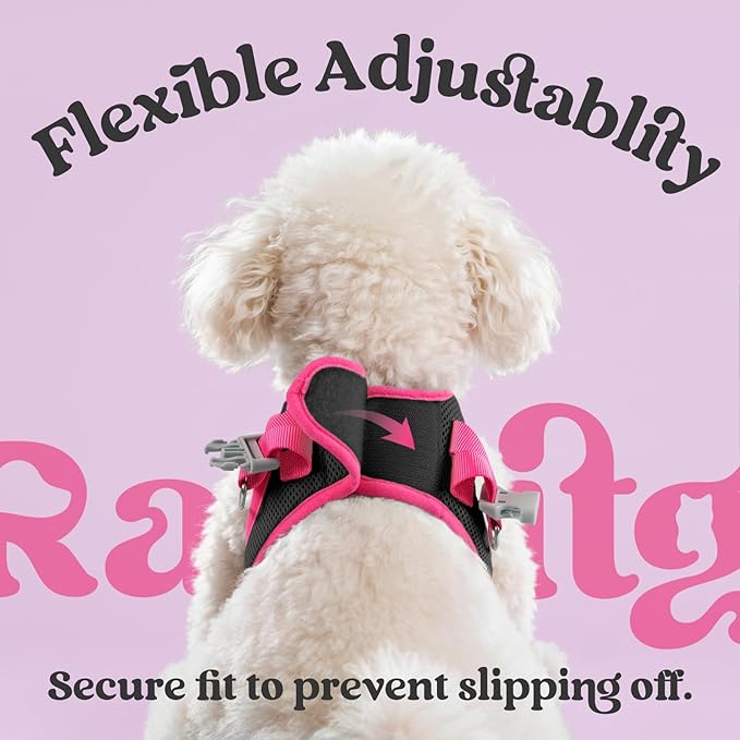 rabbitgoo Dog Harness Small Sized and Leash Set, Step-in Breathable Pet Harness, Soft Walking Reflective Puppy Vest for Small Dogs, Black & Rose Red, M