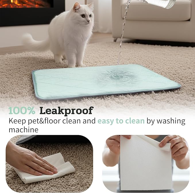 NWK Fluffy Self Warming Cat Mat, Cat Blanket, Thermal Dog Mat, Washable, Non-Slip Bottom for Sofa & Crate & Kennel & Car Seat (Mint Green, Medium (28'' X 19'' X 0.4''))