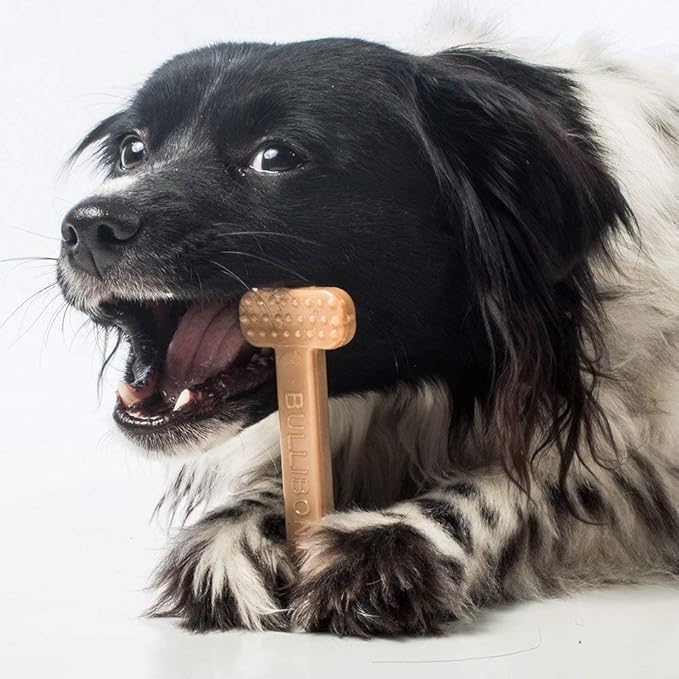 Bullibone Nylon Dog Chew Toy for Aggressive Chewers - Dental Hygiene Bone with Bacon Flavor, Durable Tough Chew Toys for Small Dogs, Indestructible Dog Bone - 2 Pack