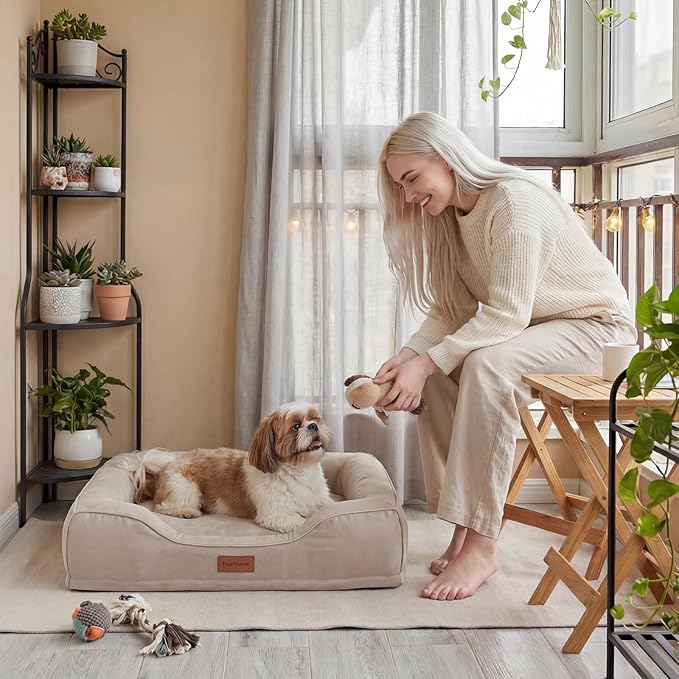 Aesthetic Dog Bed for Mediun Size Dogs Orthopedic with Cooling Gel Memory Foam Waterproof,Comfort Cute Cat Couch for Indoor Cats with Removable Washable Cover for Old Pet with Joint Pain