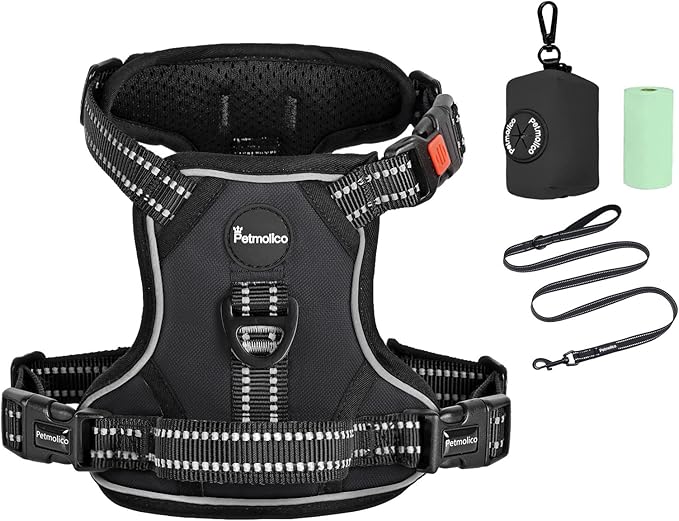 Petmolico No Pull Dog Harness Set with Leash Attachment Easy Control Handle Reflective Harness Vest Small Breed, Puppy Vest and Leash Set with Poop Bag Holder, Small - Black