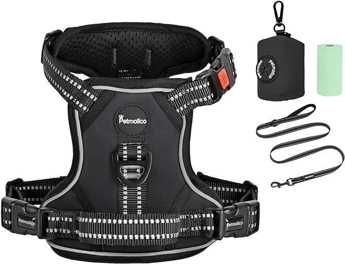 Petmolico No Pull Dog Harness Set with Leash Attachment Easy Control Handle Reflective Harness Vest Small Breed, Puppy Vest and Leash Set with Poop Bag Holder, Medium - Black