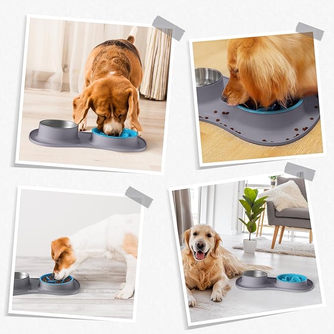 MateeyLife Dog Food Bowl Set 3 in 1, Basic Dog Bowls & Water Stainless Steel Bowl with Non-Spill Silicone Mat, Slow Feeder Bowls for Small, Medium, Large Breeds, Cat Feeding Dish to Anti-Choking