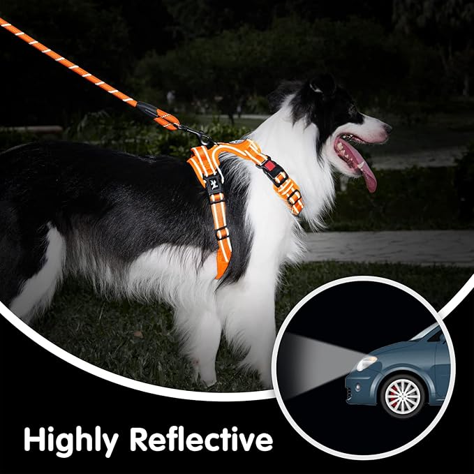 PoyPet No Pull Dog Harness and 5 Feet Leash Set, Release on Neck Reflective Adjustable Pet Vest, Front & Back 2 D-Ring and Soft Padded Pet Harness with Handle for Small to Large Dogs(Orange,M)