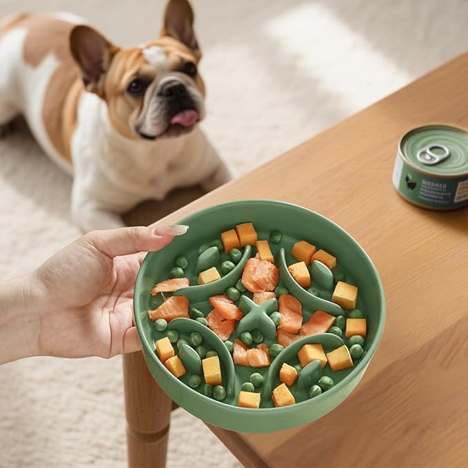 Ceramic Dog Slow Feeder Bowl - Small Dog Food Dish with Maze Puzzle Design - Slow Eating Puzzle Feeder for Pet Feed & Food Control - Whisker-Friendly Bowl for Cat Feeding - 6.3 Inch - 180 g - Green